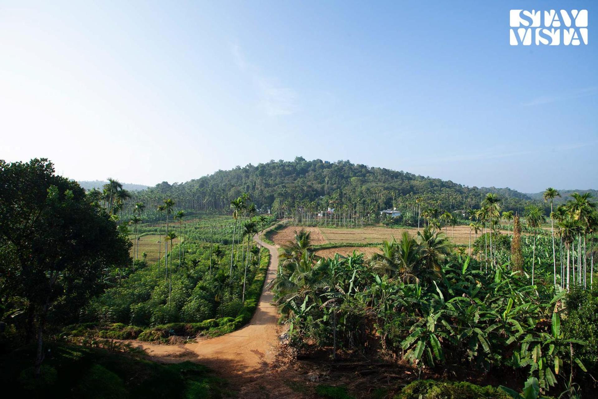Stayvista At The Big Chill With Breakfast Included Wayanad Esterno foto